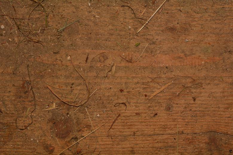 Free stock image of Wooden Texture created by Pixabay