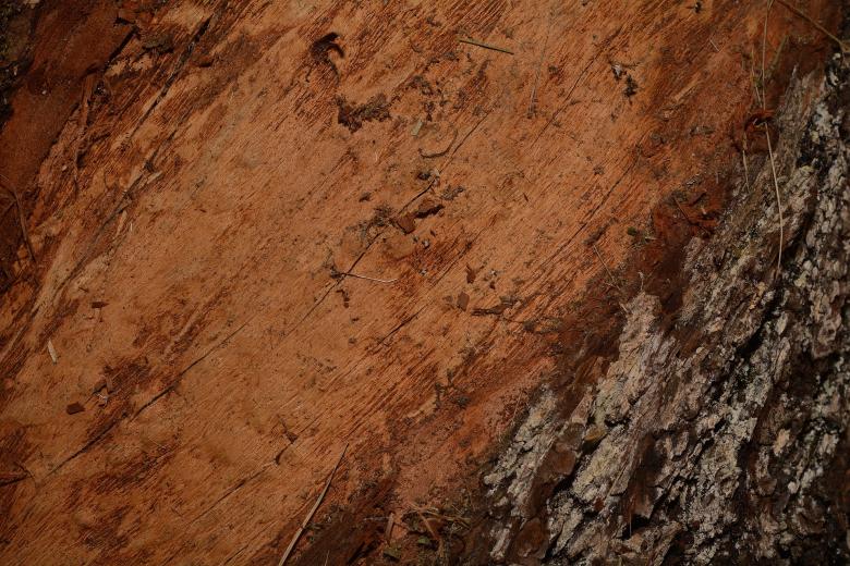 Free stock image of Wooden created by Pixabay