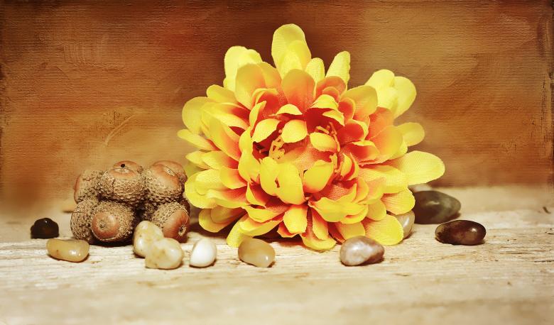 Free stock image of Yellow created by Pixabay