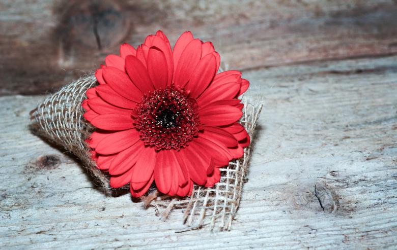 Free stock image of Red created by Pixabay