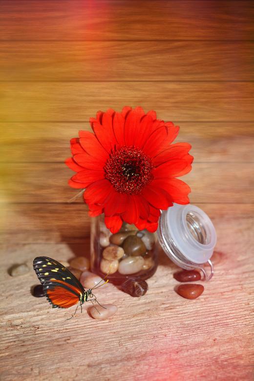 Free stock image of Red created by Pixabay