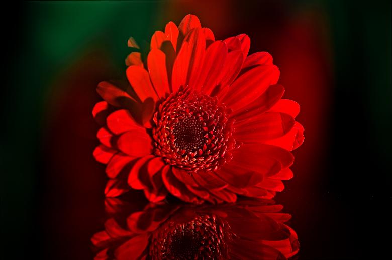 Free stock image of Fresh created by Pixabay