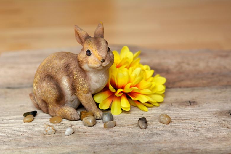 Free stock image of Cute created by Pixabay