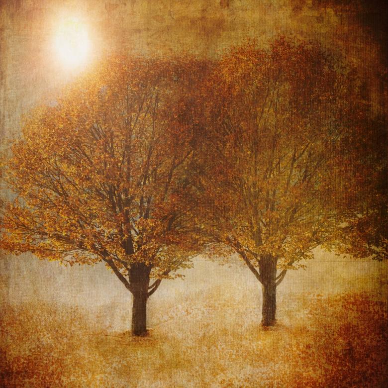 Free stock image of Autumn created by Pixabay