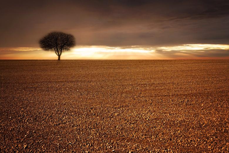 Free stock image of Field created by Pixabay