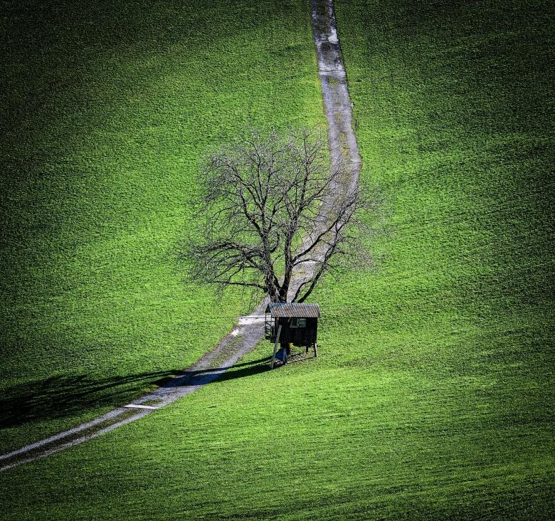 Free stock image of Landscape created by Pixabay