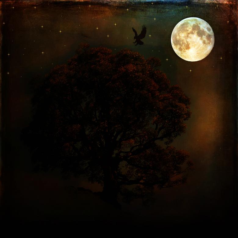 Free stock image of Night created by Pixabay