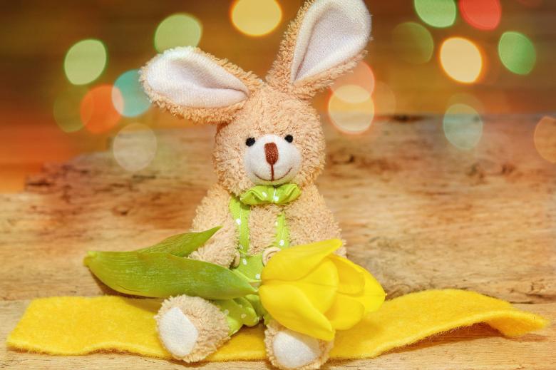 Free stock image of Bunny created by Pixabay