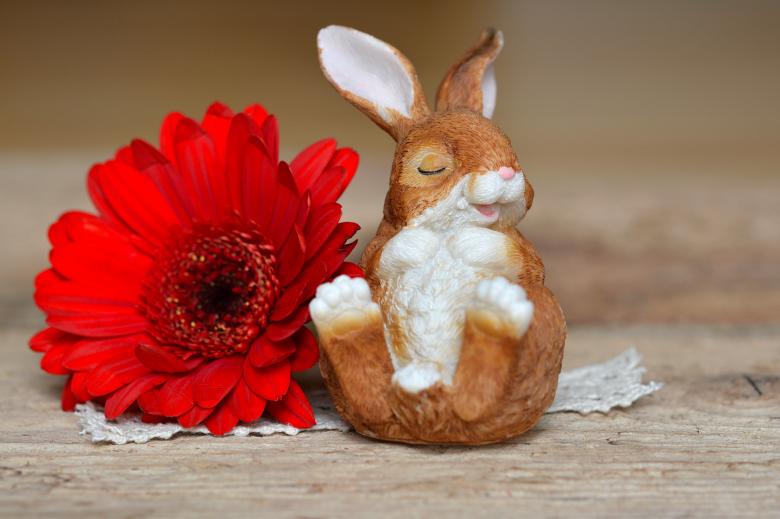 Free stock image of Flower n Rabbit created by Pixabay