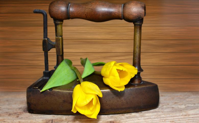 Free stock image of Tulips on the Iron created by Pixabay