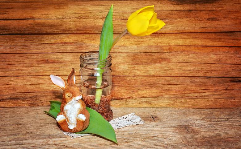 Free stock image of Beautiful Flower created by Pixabay