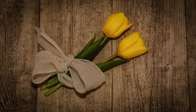 Free stock image of Flowers created by Pixabay