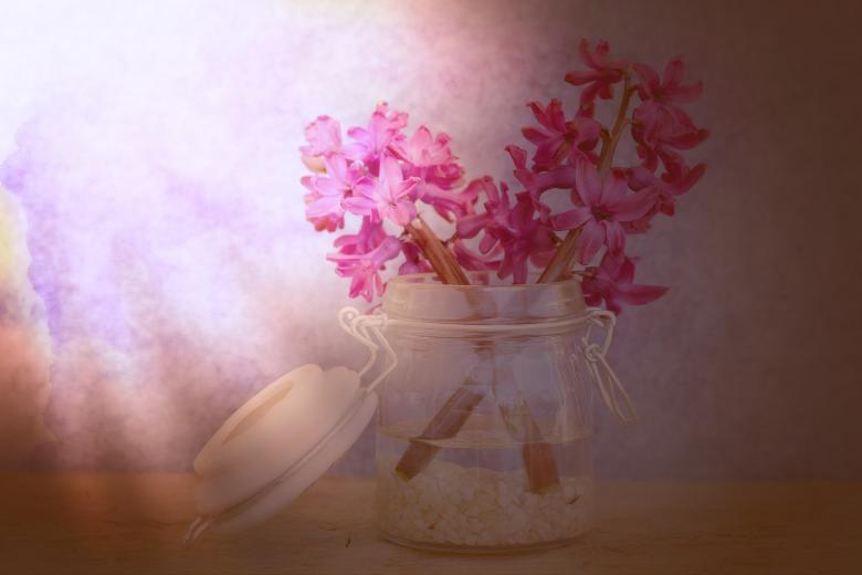 Free stock image of Still Life created by Pixabay