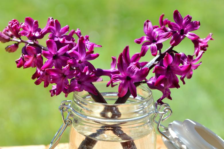Free stock image of Jar created by Pixabay