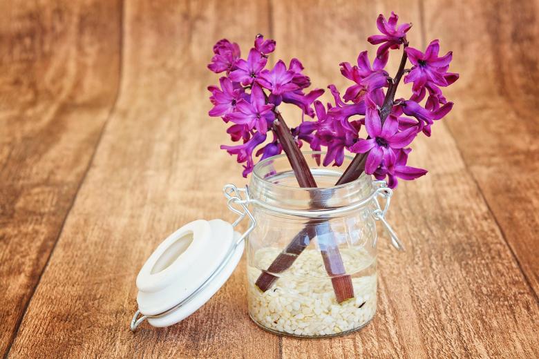 Free stock image of Fresh created by Pixabay
