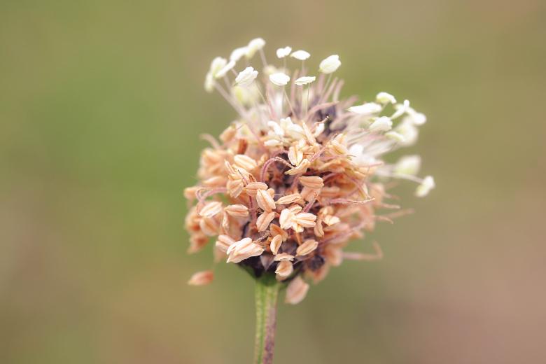 Free stock image of Nature created by Pixabay