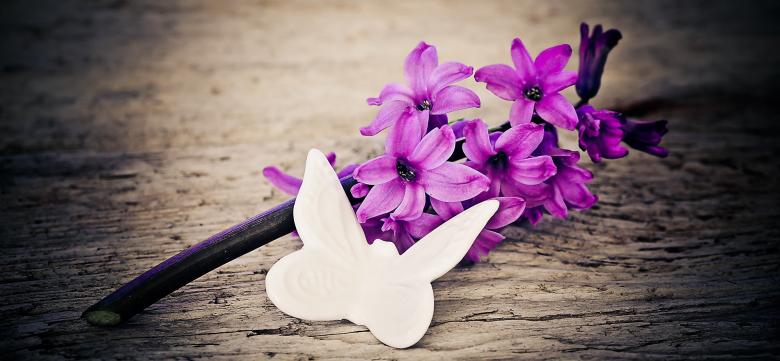 Free stock image of Beauty created by Pixabay
