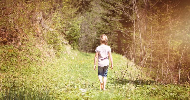 Free stock image of Into the Wild created by Pixabay