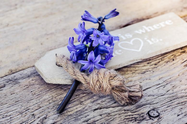 Free stock image of Flower created by Pixabay