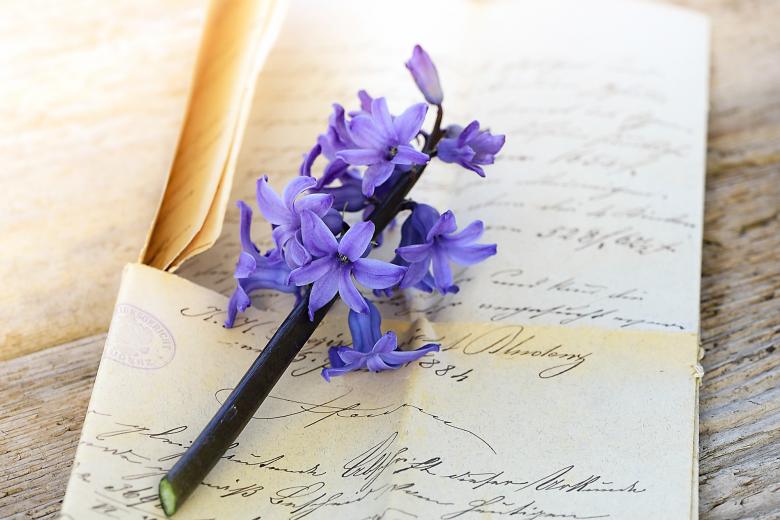 Free stock image of Violet Flower on Handwritten Letters created by Pixabay