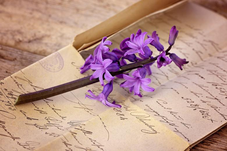 Free stock image of Flower created by Pixabay