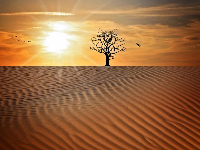 Free stock image of Desert created by Pixabay