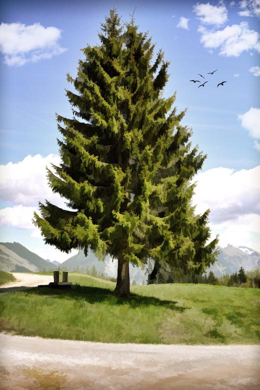 Free stock image of Tree Painting created by Pixabay