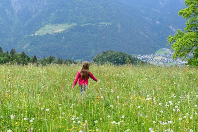 Free stock image of Nature created by Pixabay