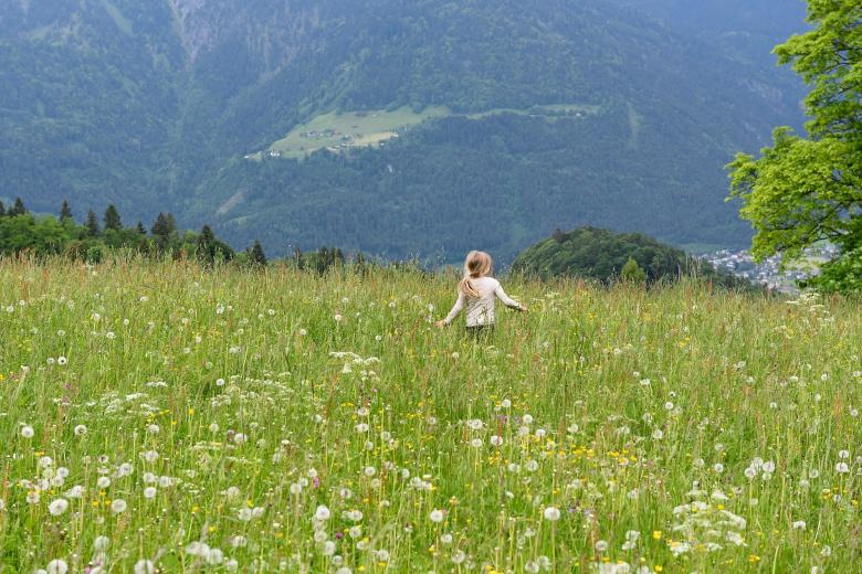 Free stock image of Nature created by Pixabay