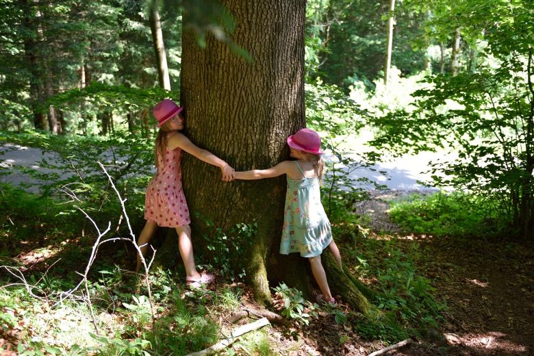 Free stock image of Friends created by Pixabay