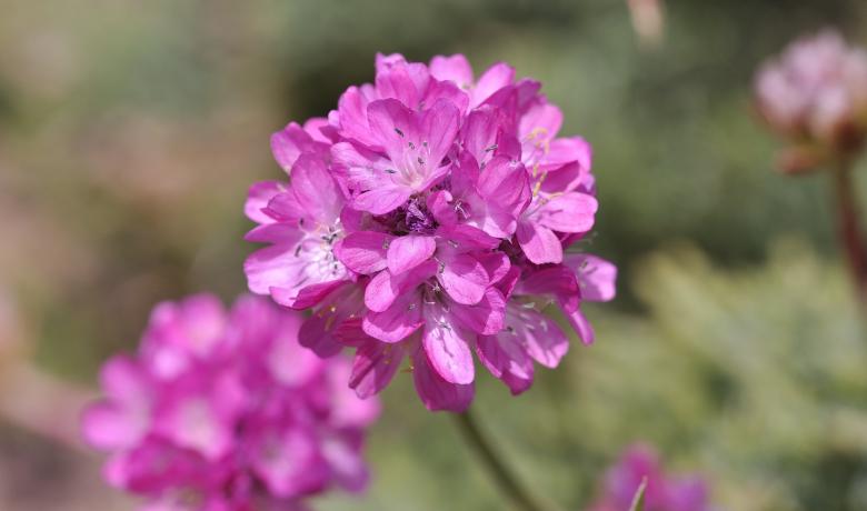Free stock image of Nature created by Pixabay