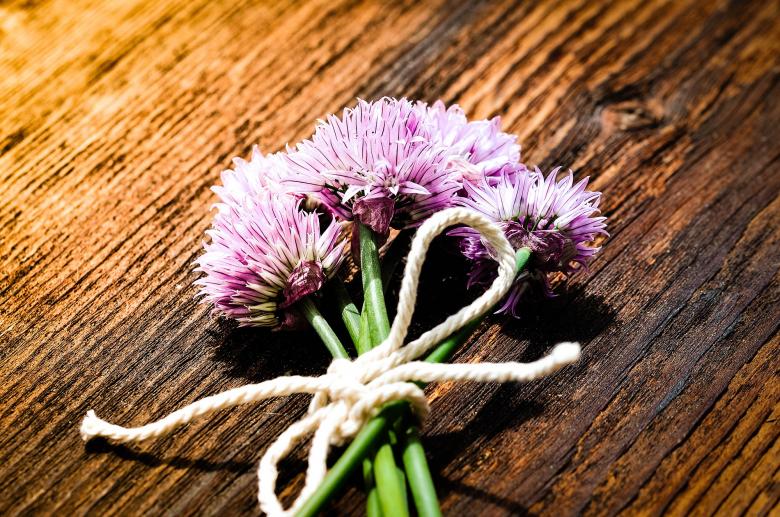 Free stock image of Chives created by Pixabay