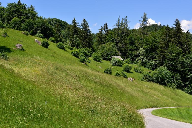 Free stock image of Landscape created by Pixabay
