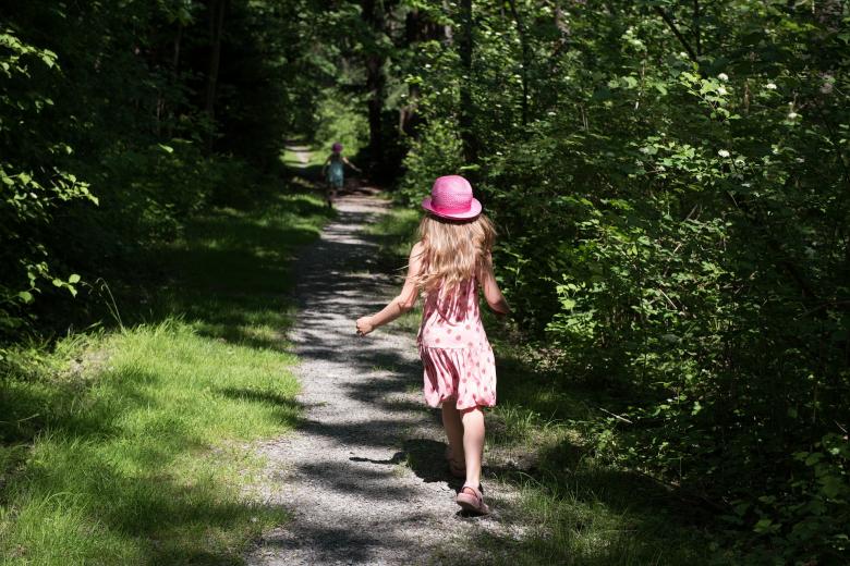 Free stock image of Into the Wild created by Pixabay