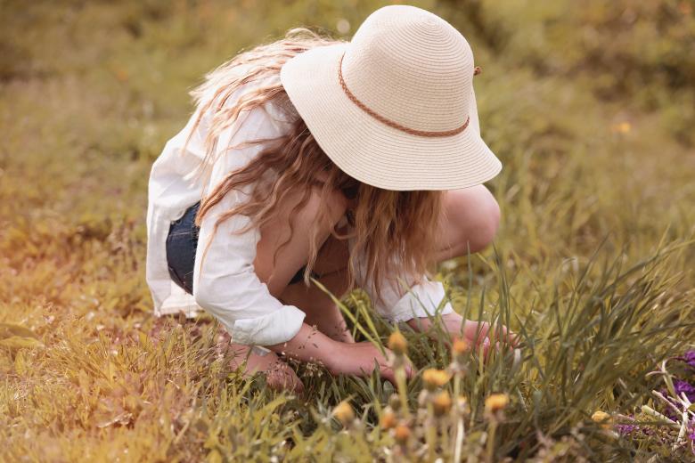 Free stock image of Collecting Flowers created by Pixabay