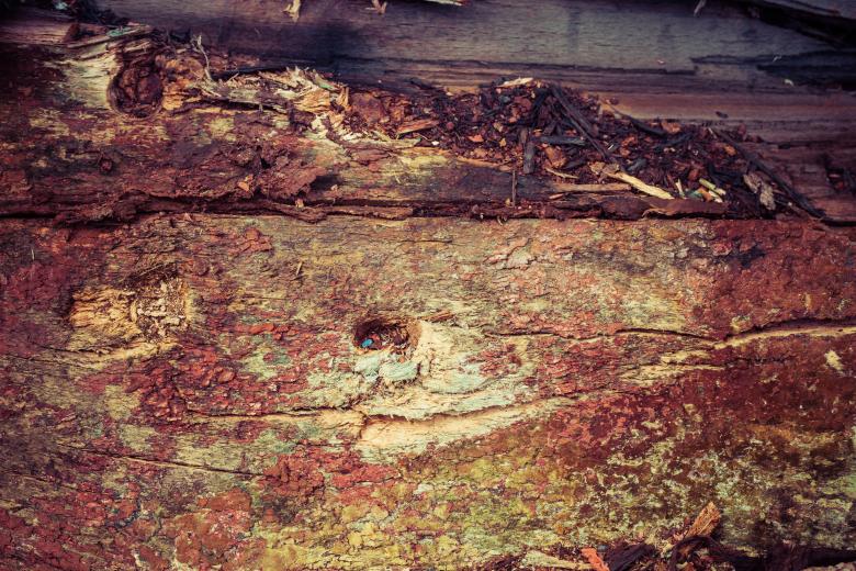 Free stock image of Colorful Grunge Wood Texture created by Free Texture Friday