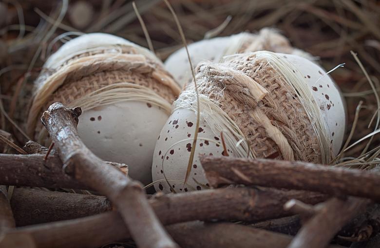 Free stock image of Egg created by Pixabay