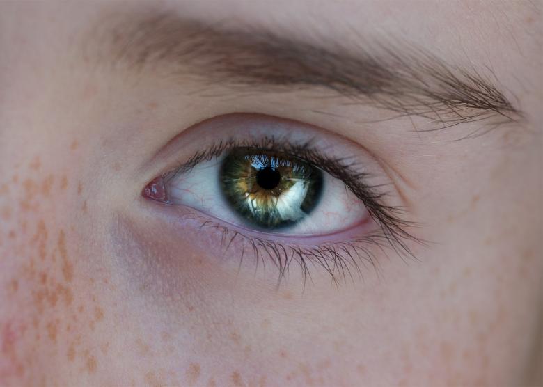 Free stock image of Closeup created by Pixabay