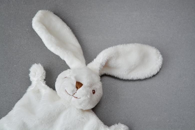 Free stock image of White Bunny created by Pixabay