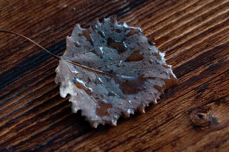 Free stock image of Dry created by Pixabay