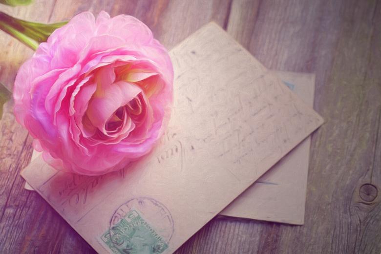 Free stock image of Pink Rose and Letters created by Pixabay