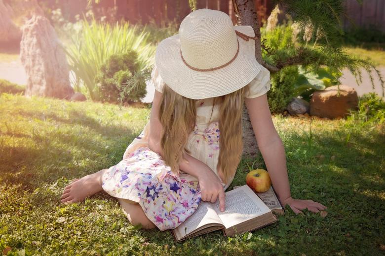 Free stock image of Reader created by Pixabay