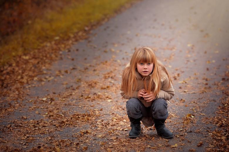 Free stock image of Cutie created by Pixabay