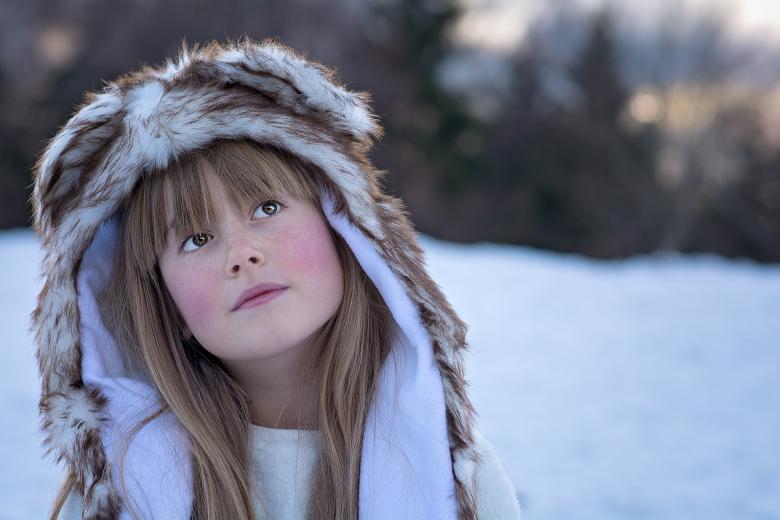 Free stock image of Winter created by Pixabay