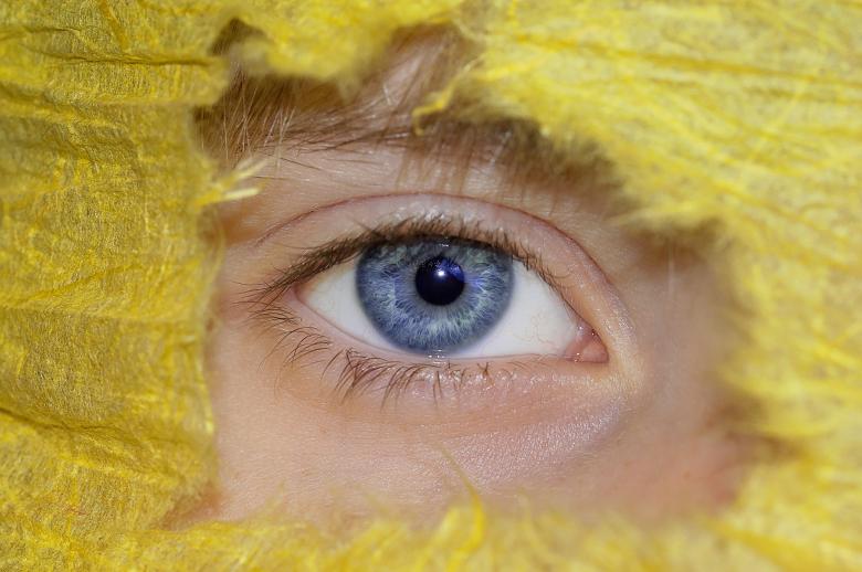 Free stock image of Hiding created by Pixabay
