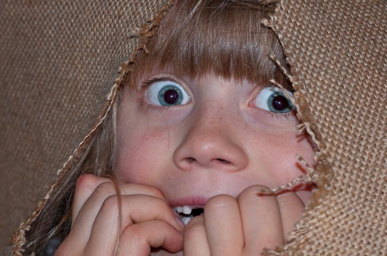 Free stock image of Hide created by Pixabay