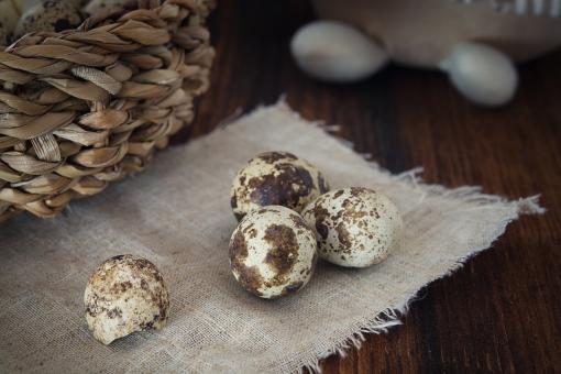Free Stock Photo of Eggs