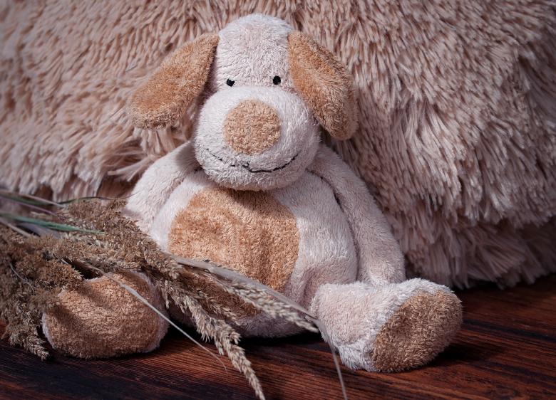 Free stock image of Soft created by Pixabay