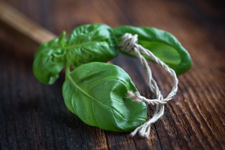 Free stock image of Basil created by Pixabay