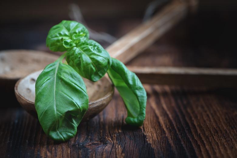 Free stock image of Basil created by Pixabay